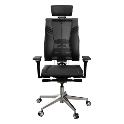 Metta Y 4DT D5.F.15.62